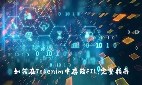 如何在Tokenim中存储FIL：完整指南
