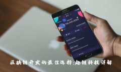 区块链开发的最佳选择：