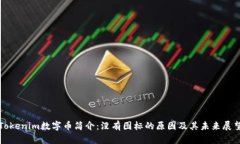 Tokenim数字币简介：没有图
