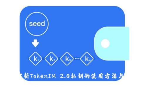 全面解析TokenIM 2.0私钥的使用方法与安全性