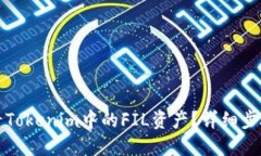 如何查看Tokenim中的FIL资产