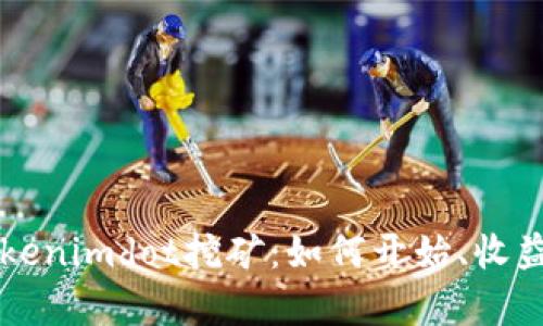 深入了解Tokenimdot挖矿：如何开始、收益与风险分析