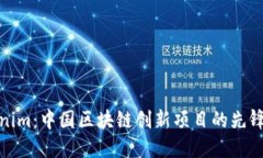 Tokenim：中国区块链创新项