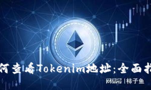如何查看Tokenim地址：全面指南