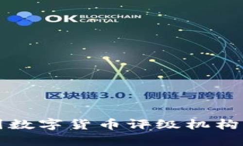 深入解析中国数字货币评级机构的现状与发展
