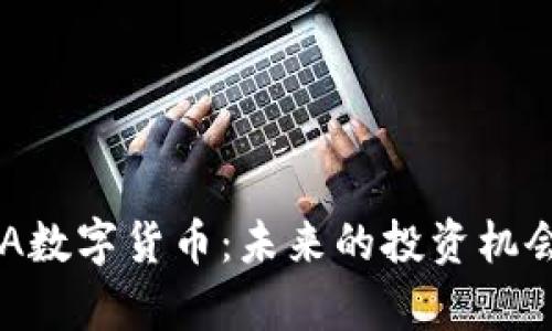 深入了解IDA数字货币：未来的投资机会与风险分析