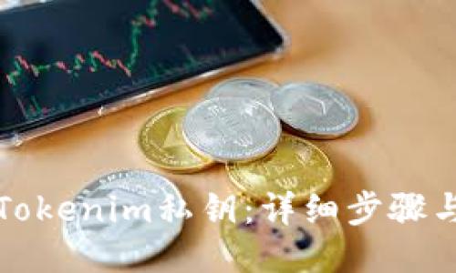 如何生成Tokenim私钥：详细步骤与安全指南