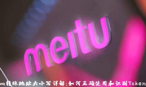 
Tokenim转账地址大小写详解：如何正确使用和识别Tokenim地址