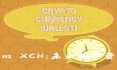 深入解析Tokenim XCH：未来数