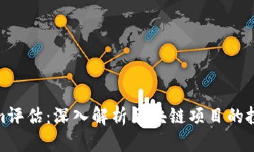 Tokenim评估：深入解析区块链项目的投资机会