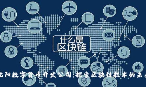 沈阳数字货币开发公司：探索区块链技术的未来