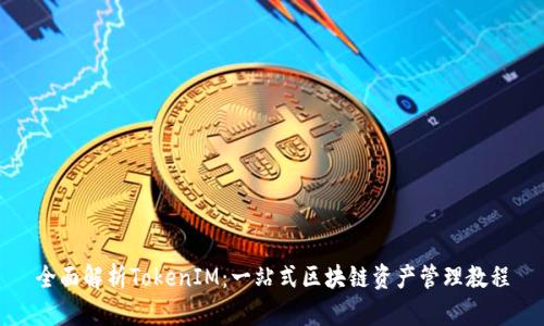 全面解析TokenIM：一站式区块链资产管理教程