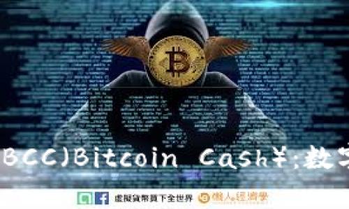 全面解析 imToken 与 BCC（Bitcoin Cash）：数字货币的安全和使用指南
