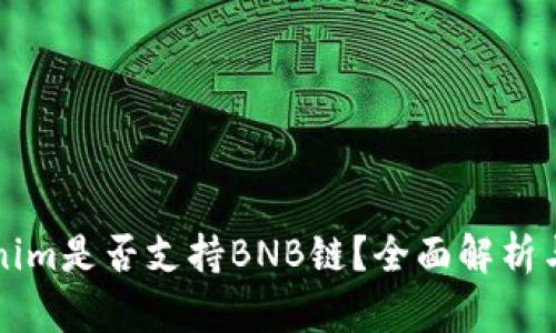Tokenim是否支持BNB链？全面解析与应用