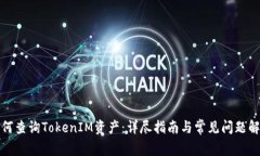如何查询TokenIM资产：详尽指南与常见问题解答